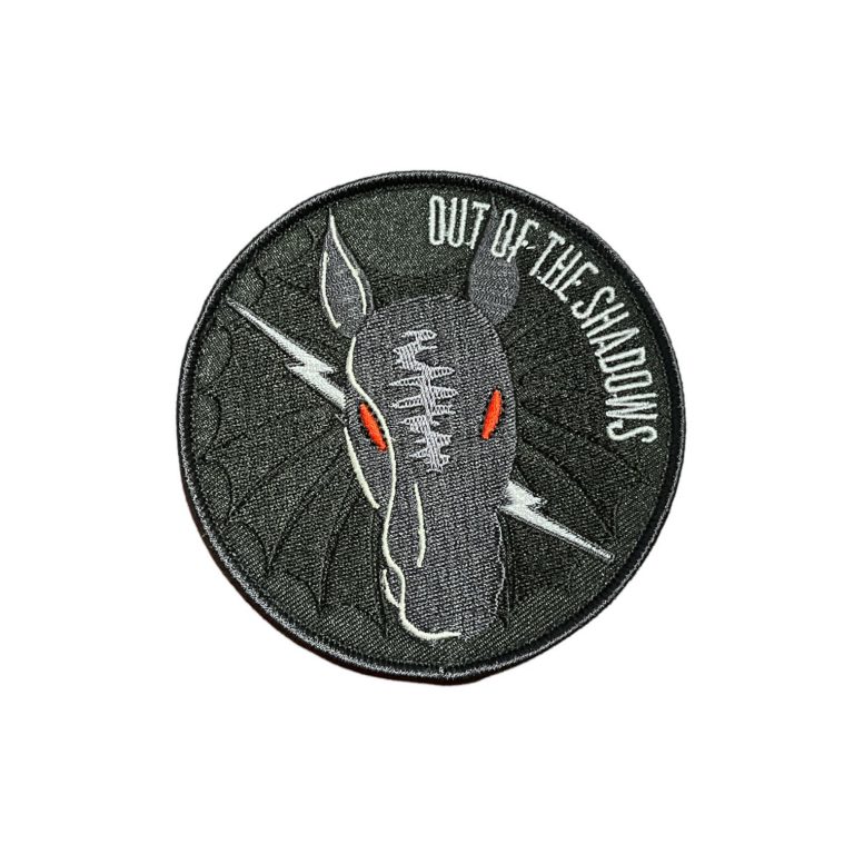 No. 10 Squadron RAAF 