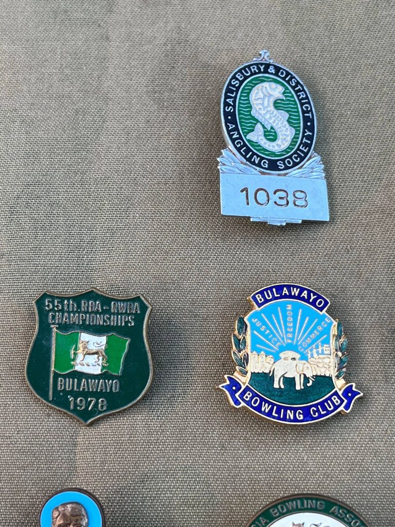 Rhodesian Lapel Pins x 10 (RH094) | Allied Militaria